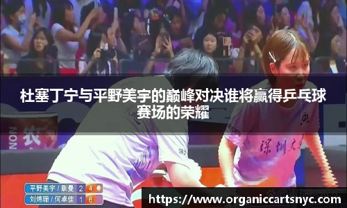 杜塞丁宁与平野美宇的巅峰对决谁将赢得乒乓球赛场的荣耀